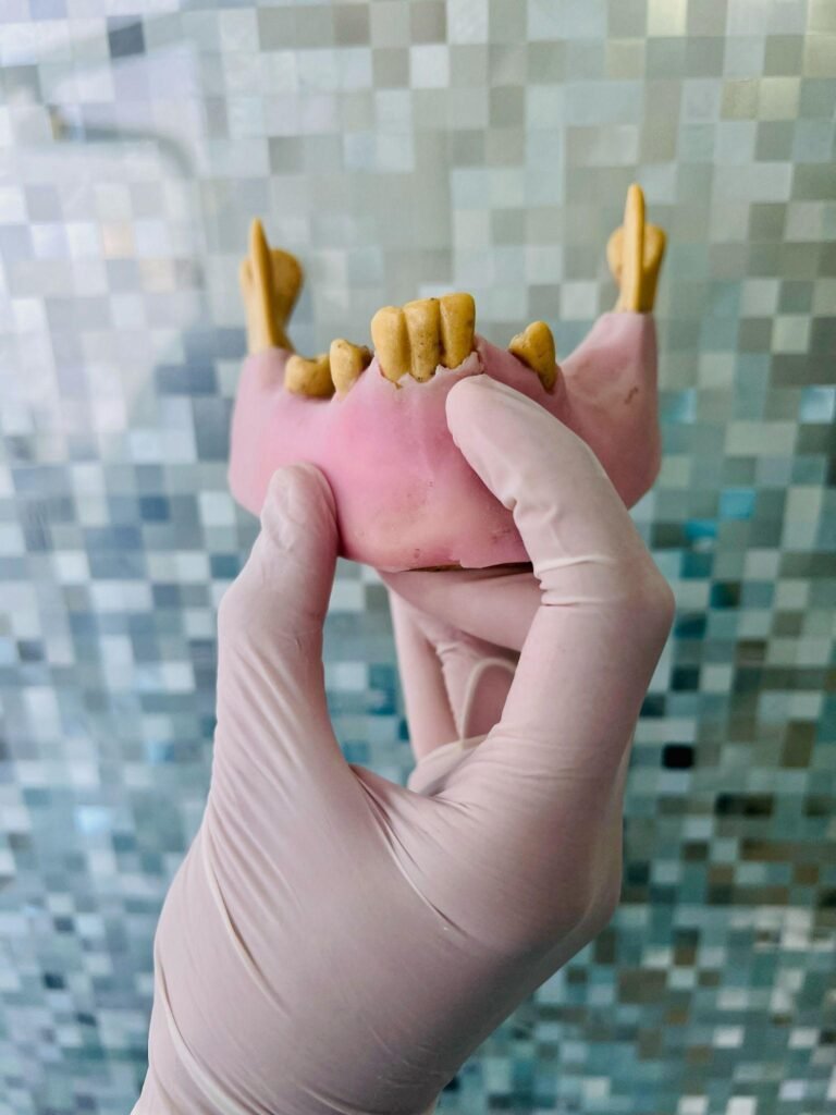 Massaging your gums Care I max